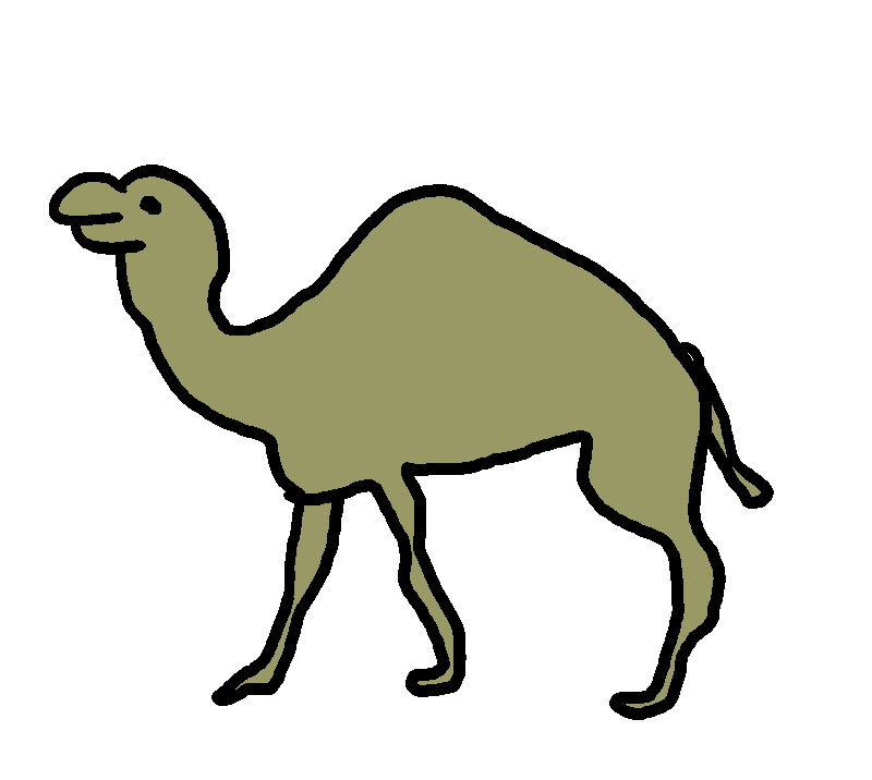 raster camel